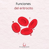 Funciones del eritrocito